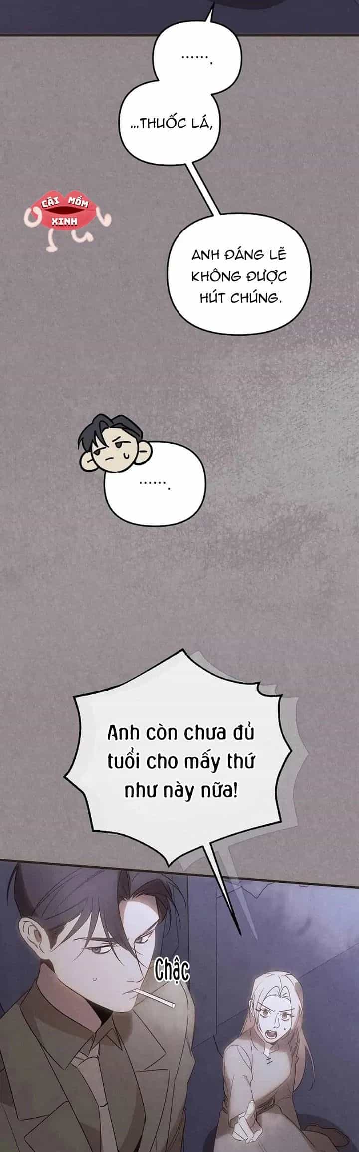 Nơi Đóa Hồng Vàng Úa Tàn - Chương 28 - ảnh 22