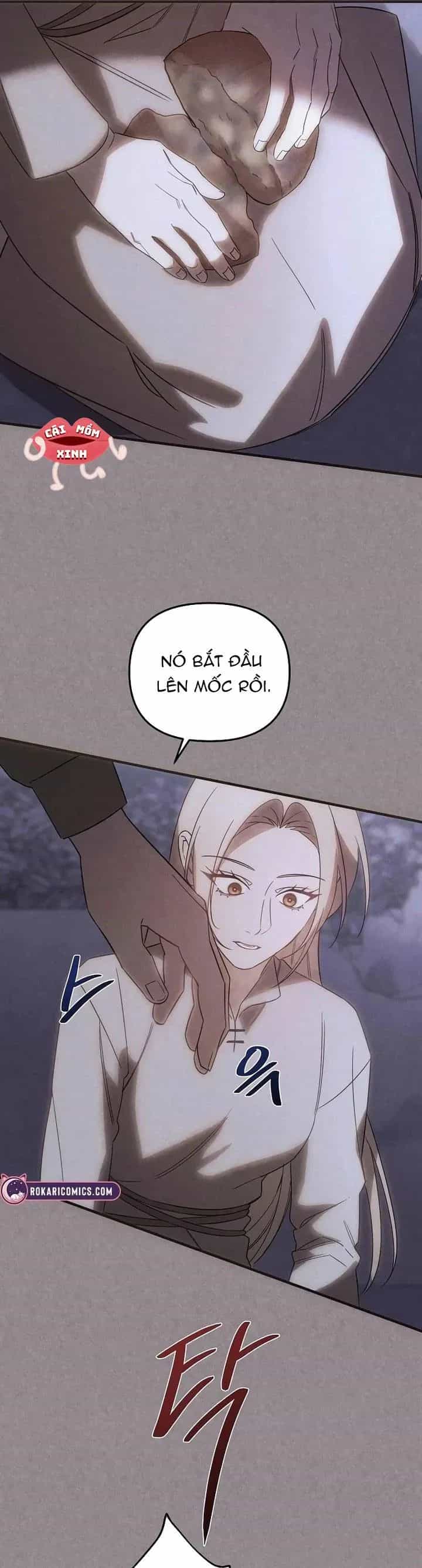 Nơi Đóa Hồng Vàng Úa Tàn - Chương 28 - ảnh 26