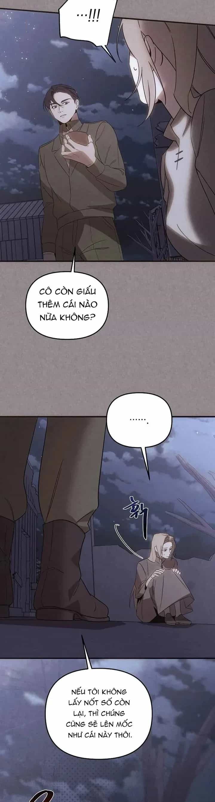 Nơi Đóa Hồng Vàng Úa Tàn - Chương 28 - ảnh 27