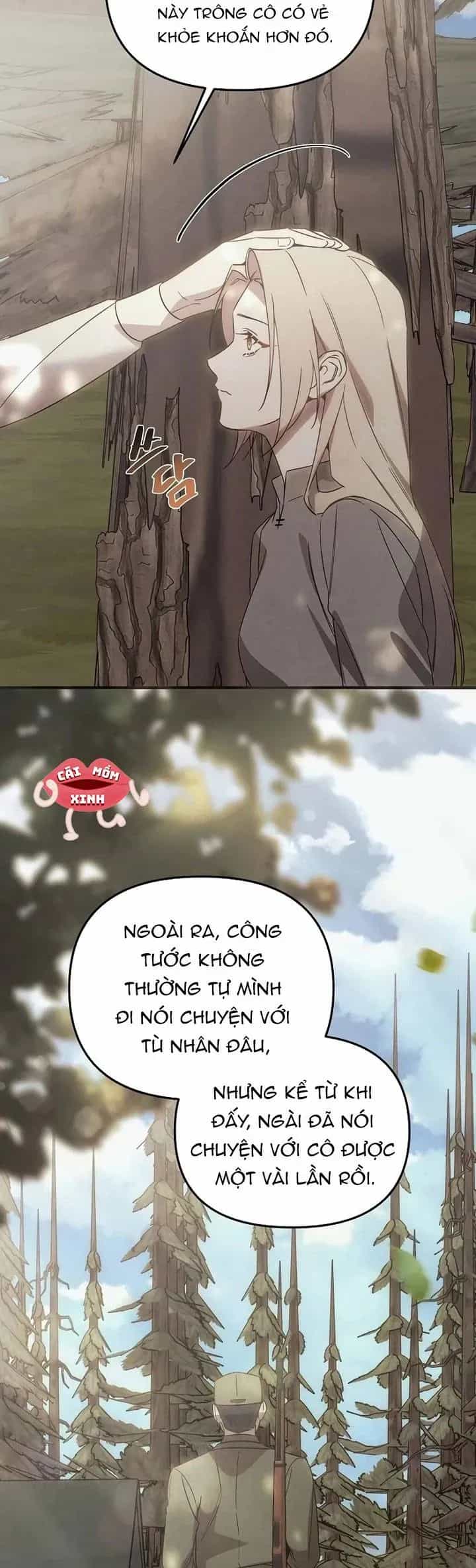 Nơi Đóa Hồng Vàng Úa Tàn - Chương 28 - ảnh 6