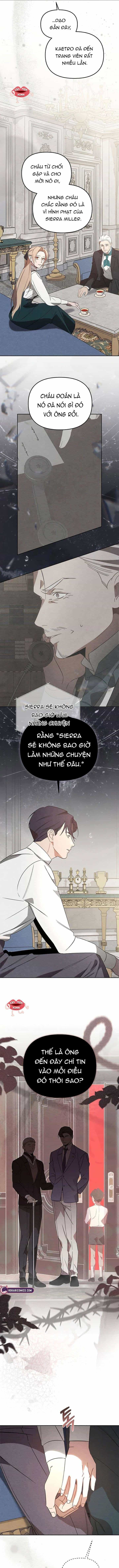 Nơi Đóa Hồng Vàng Úa Tàn - Chương 29 - ảnh 8