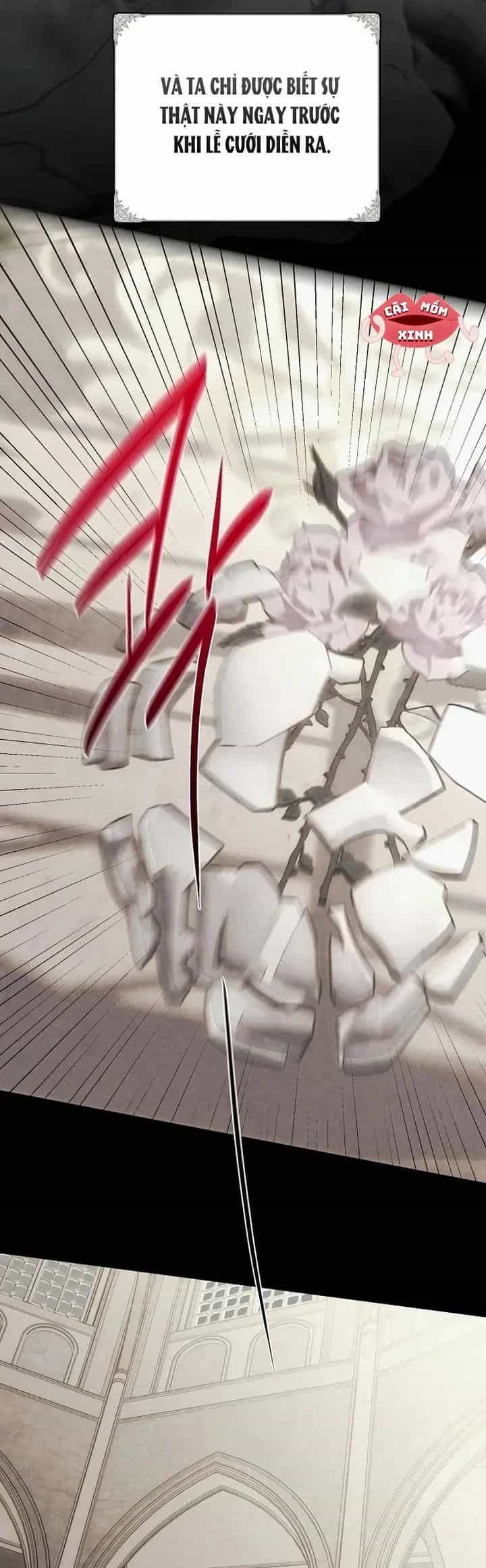 Nơi Đóa Hồng Vàng Úa Tàn - Chương 30 - ảnh 6