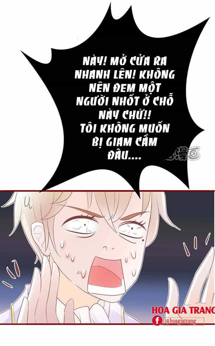 Nơi Này Có Điểm Không Bình Thường - Chương 1 - ảnh 19