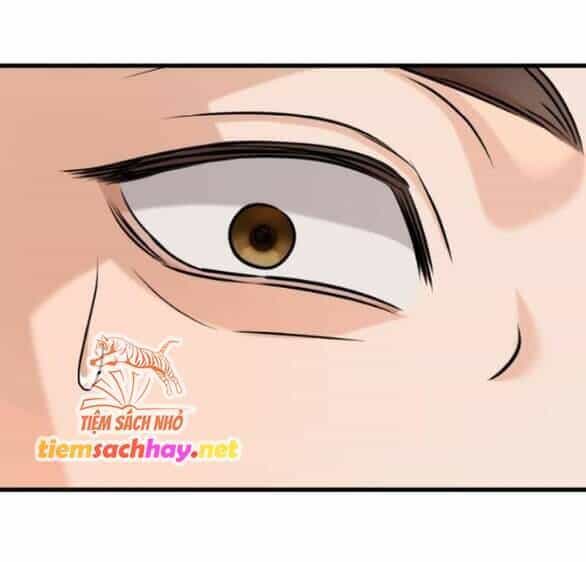 Nóng Lòng Muốn Giày Vò Em - Chương 58 - ảnh 38