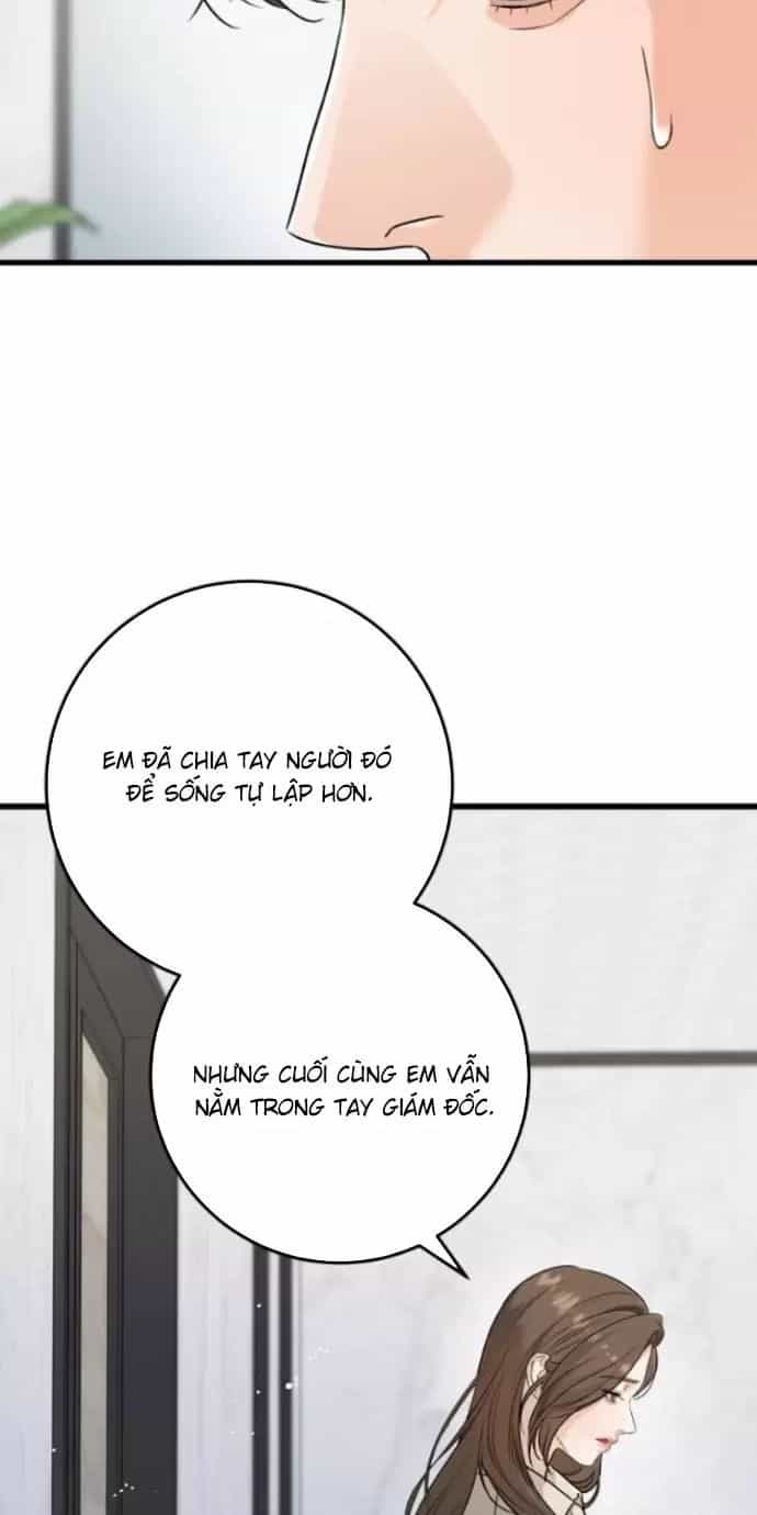 Nóng Lòng Muốn Giày Vò Em - Chương 66 - ảnh 21