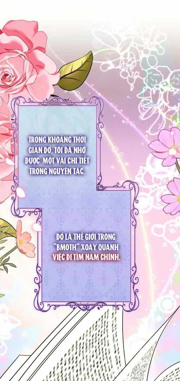 Nữ Chính Bỏ Trốn Ở Nhà Bên - Chương 1 - ảnh 90