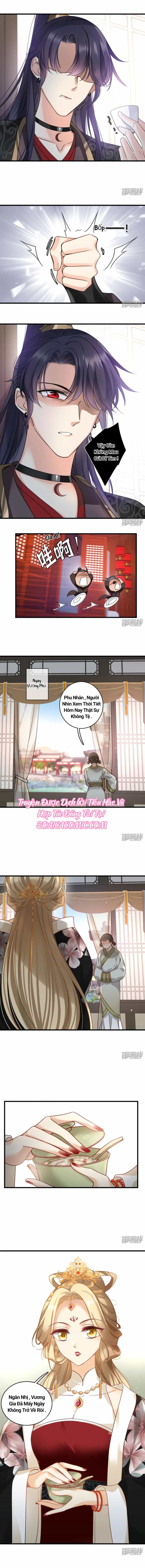 Nụ Cười Của Nàng Ngọt Làm Gãy 8 Cái Răng Của Ta - Chương 11 - ảnh 3