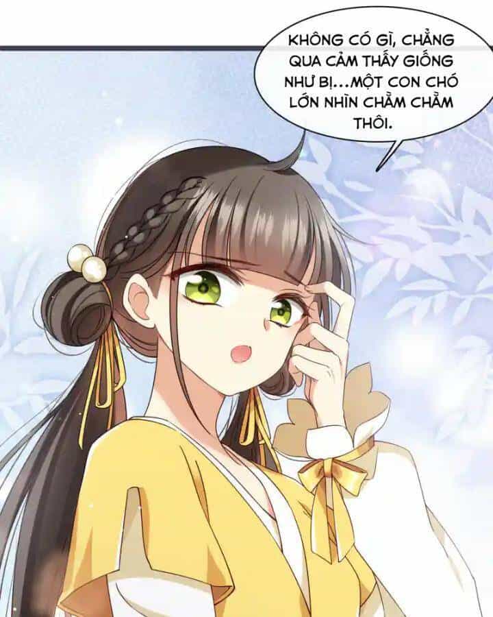 Nụ Cười Của Ngươi Ngọt Đến Mức Làm Gãy Tám Cái Răng Của Ta - Chương 96 - ảnh 70