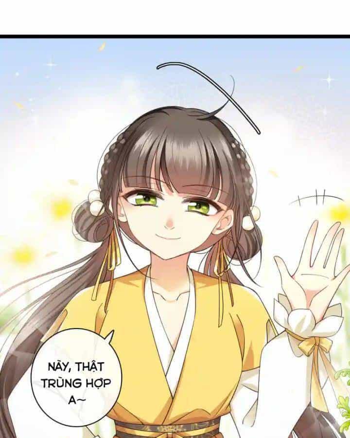 Nụ Cười Của Ngươi Ngọt Đến Mức Làm Gãy Tám Cái Răng Của Ta - Chương 98 - ảnh 6