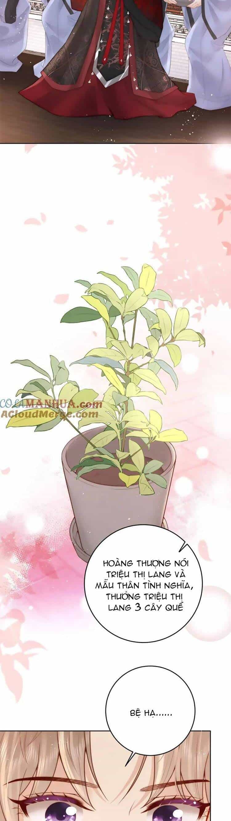 Nữ Đế Và Dàn Hậu Cung Siêu Phẩm - Chương 26 - ảnh 20
