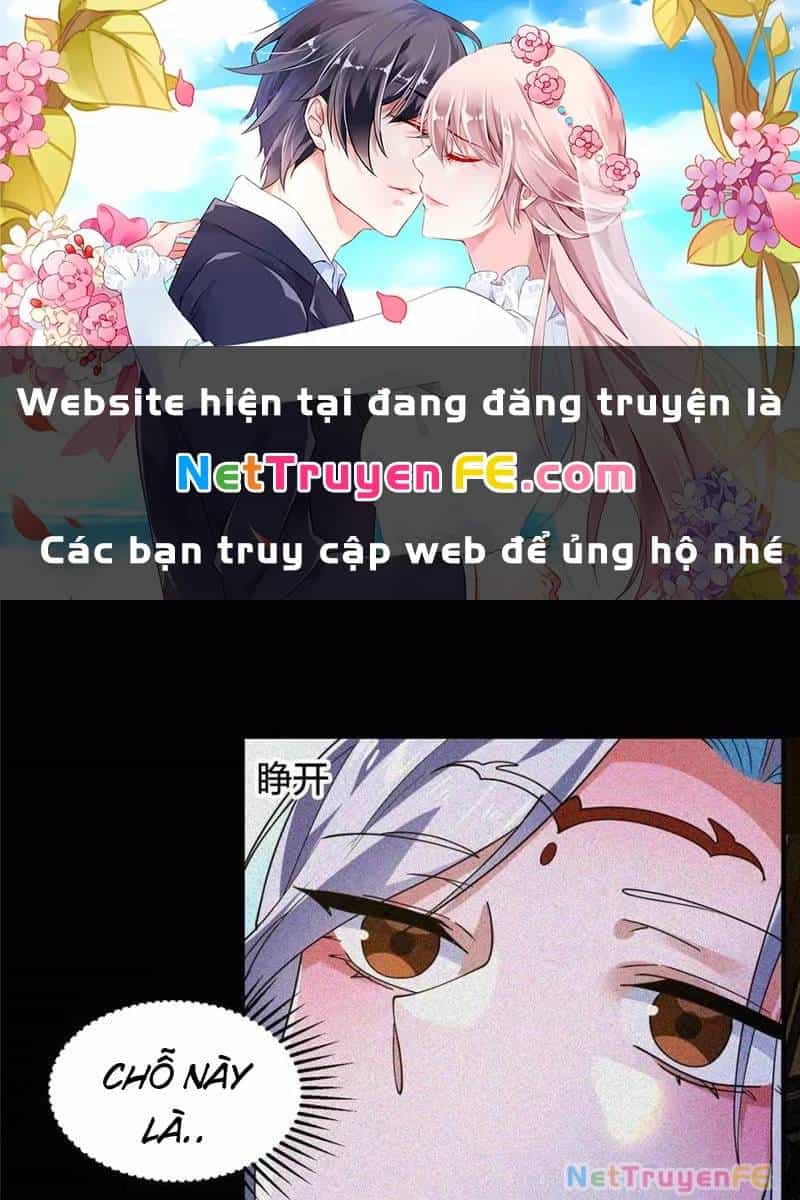 Nữ Đồ Đệ Ai Nấy Đều Muốn Giết Ta - Chương 186 - ảnh 2