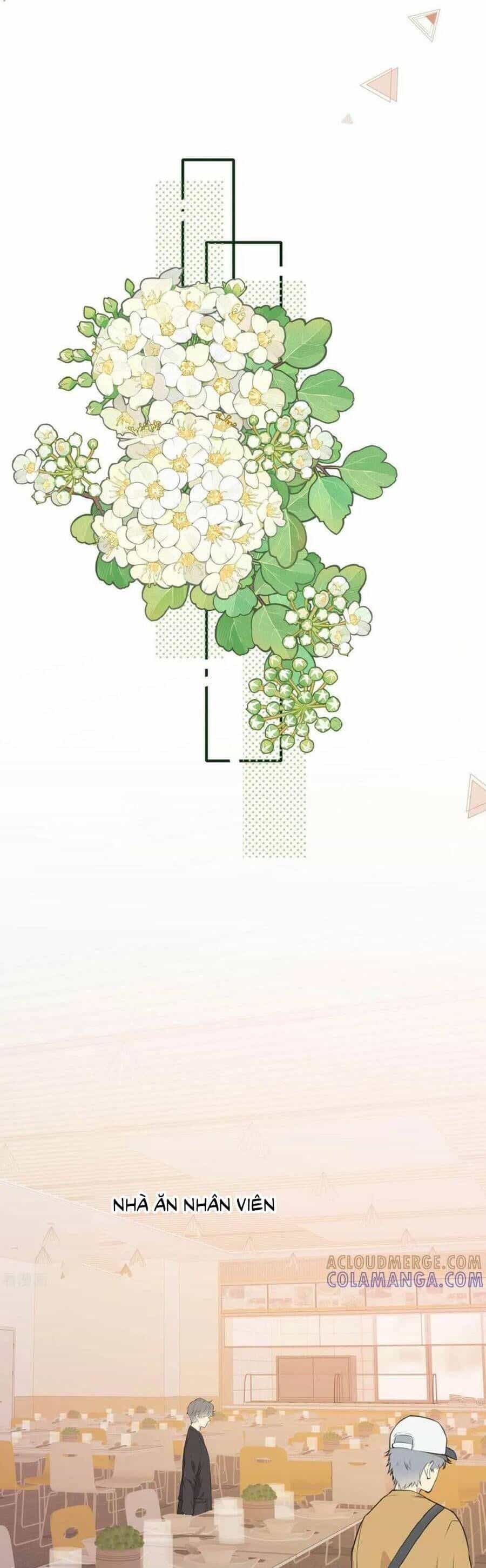 Nụ Hôn Vượt Ranh Giới - Chương 30 - ảnh 13