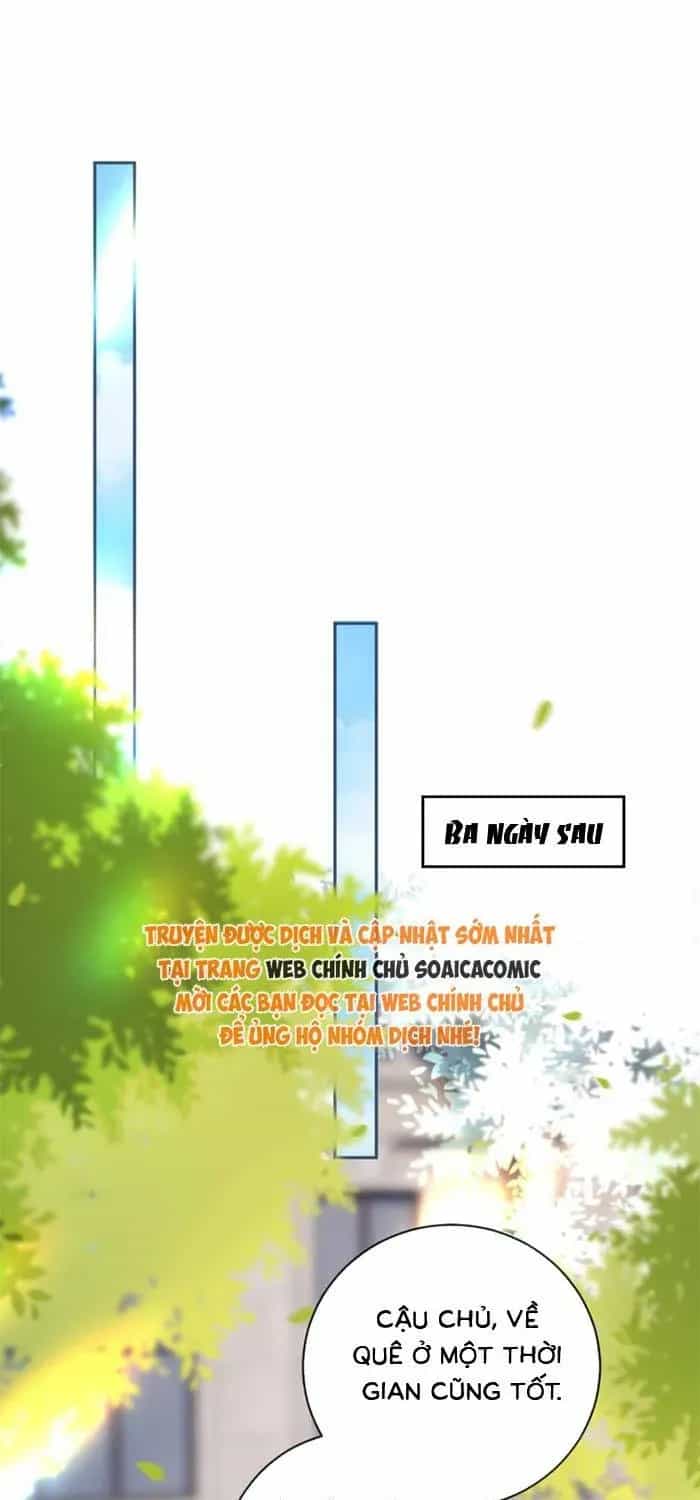 Nụ Hôn Xung Hỉ: Đại Lão Thực Vật Sống Lại Rồi! - Chương 44 - ảnh 33