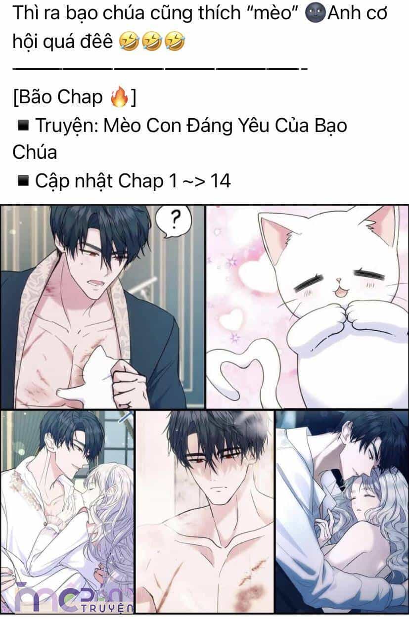 Nữ Phụ Không Muốn Nam Nữ Chính Chia Tay - Chương 27 - ảnh 6
