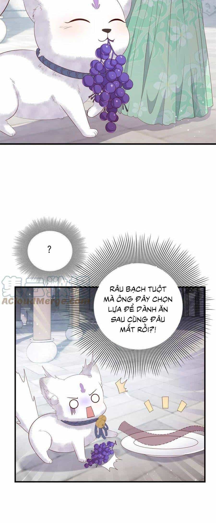 Nữ Phụ Không Thể Chọc Giận - Chương 111 - ảnh 22