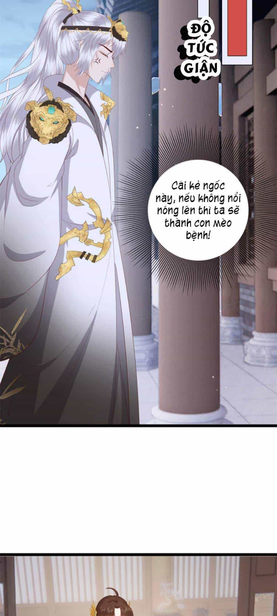 Nữ Phụ Không Thể Chọc Giận - Chương 12 - ảnh 42
