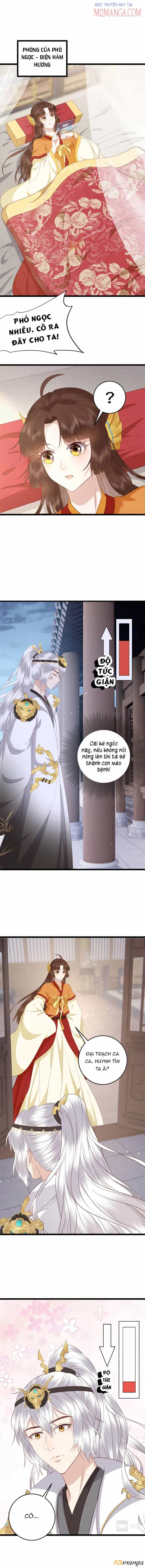 Nữ Phụ Không Thể Chọc Giận - Chương 12.5 - ảnh 5
