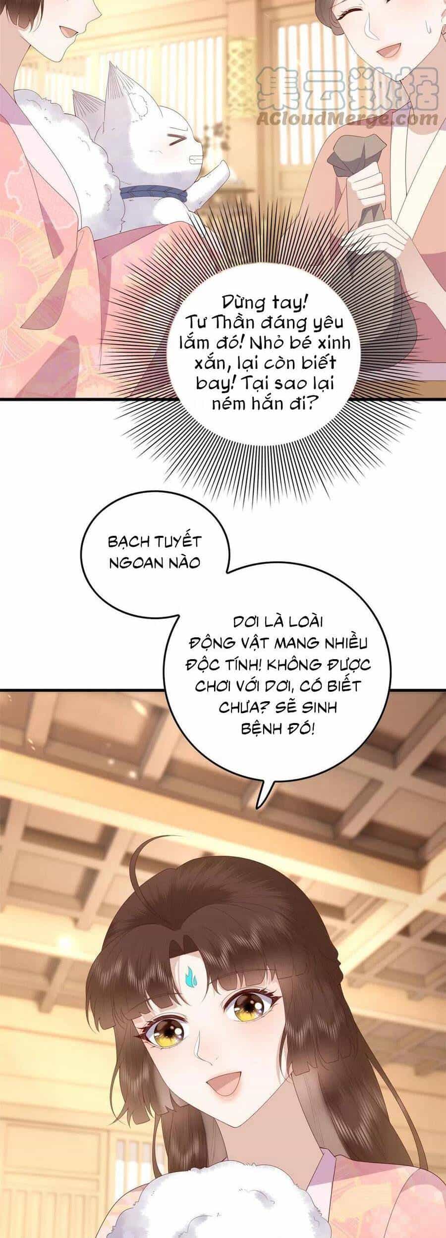 Nữ Phụ Không Thể Chọc Giận - Chương 95 - ảnh 16