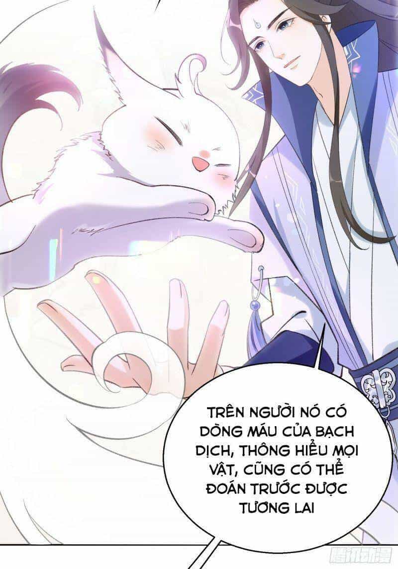 Nữ Tiên Tôn Bận Đào Hôn - Chương 31 - ảnh 22