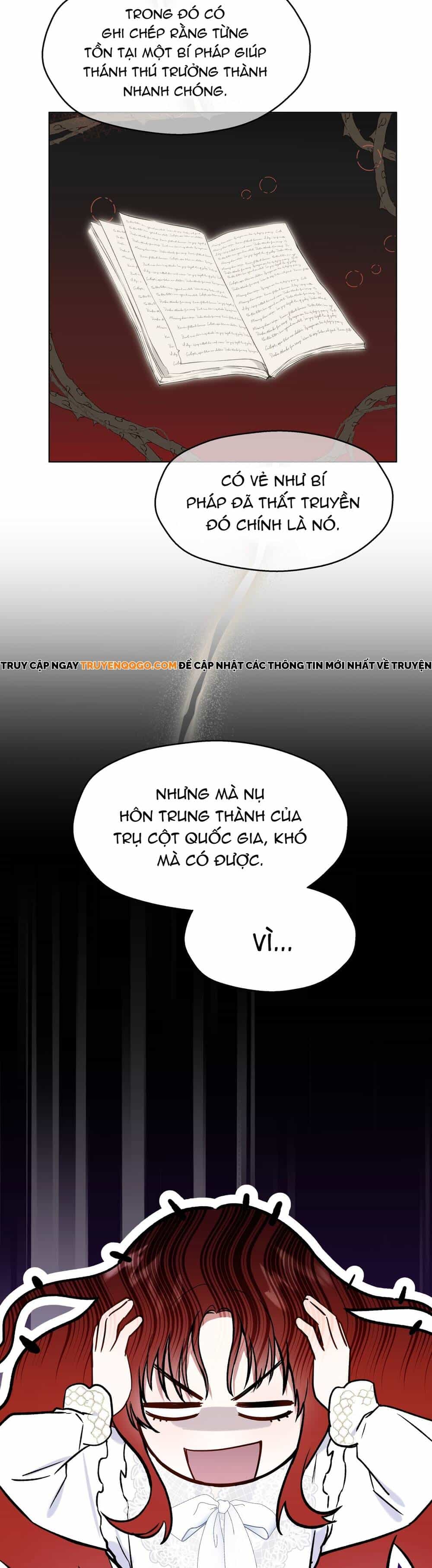 Nữ Vương Chế Ngự Anh Hùng - Chương 2 - ảnh 11