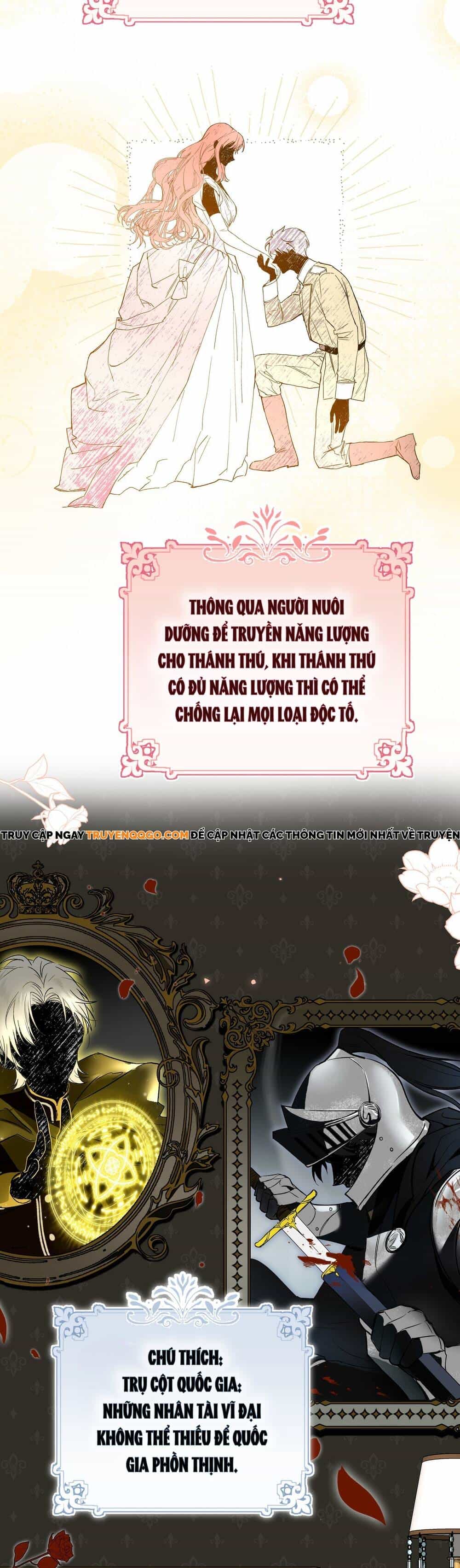 Nữ Vương Chế Ngự Anh Hùng - Chương 2 - ảnh 9