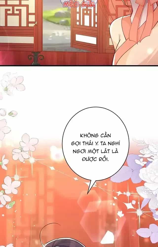Nuông Chiều Mỹ Nhân Cuồng Nhiệt - Chương 13 - ảnh 33