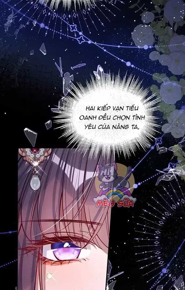 Nuông Chiều Mỹ Nhân Cuồng Nhiệt - Chương 15 - ảnh 32