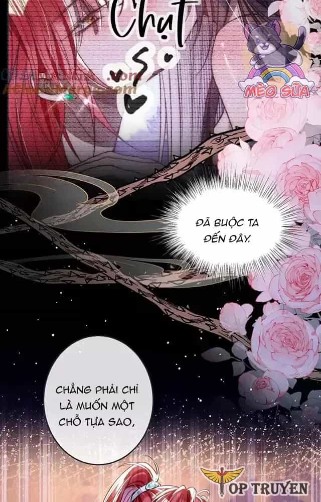 Nuông Chiều Mỹ Nhân Cuồng Nhiệt - Chương 16 - ảnh 3