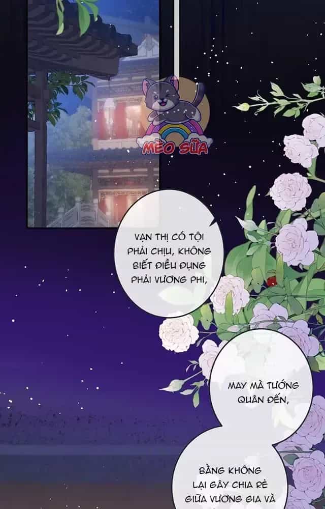 Nuông Chiều Mỹ Nhân Cuồng Nhiệt - Chương 16 - ảnh 44