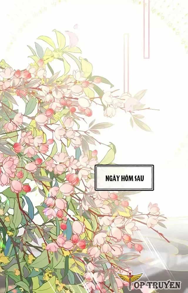 Nuông Chiều Mỹ Nhân Cuồng Nhiệt - Chương 17 - ảnh 4