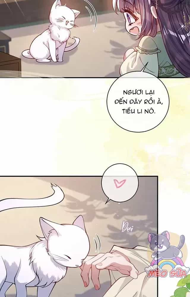 Nuông Chiều Mỹ Nhân Cuồng Nhiệt - Chương 17 - ảnh 8