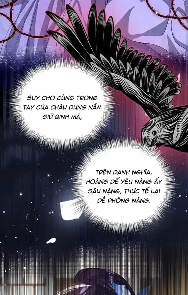 Nuông Chiều Mỹ Nhân Cuồng Nhiệt - Chương 22 - ảnh 54