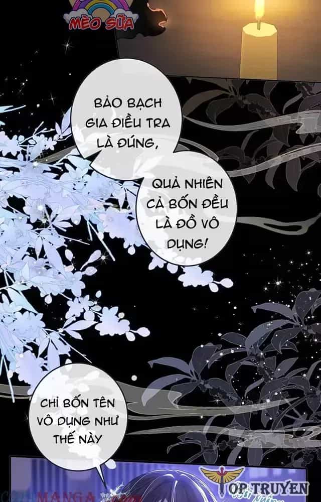 Nuông Chiều Mỹ Nhân Cuồng Nhiệt - Chương 24 - ảnh 7