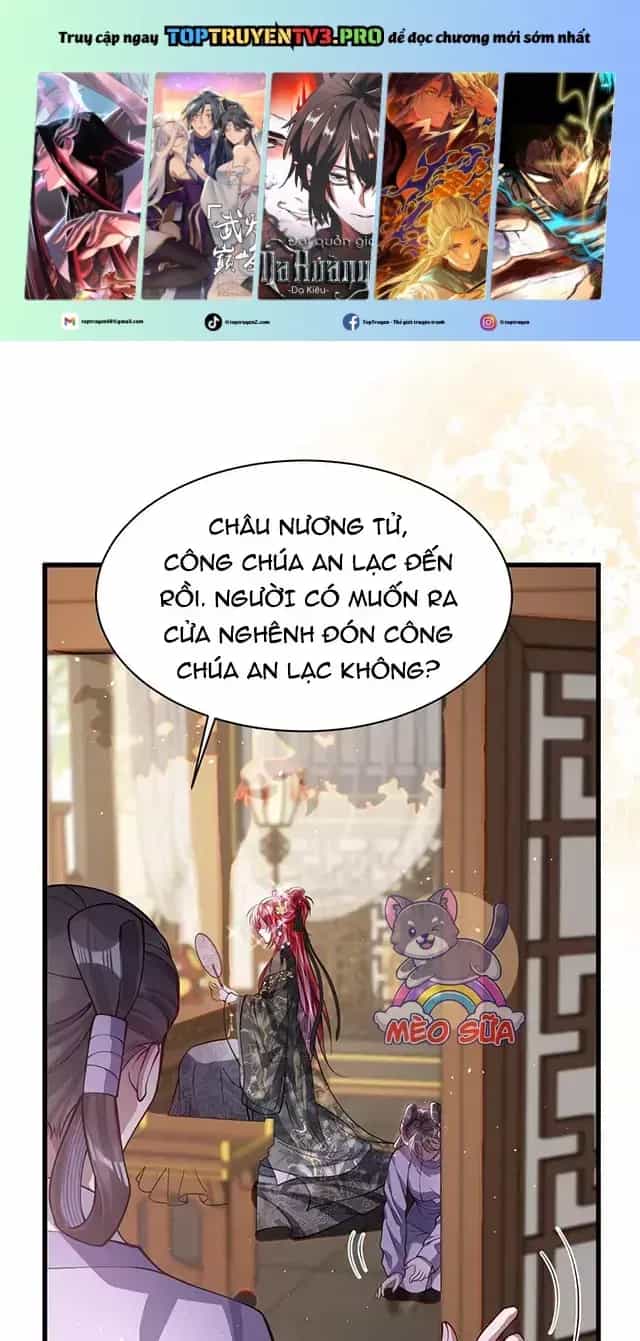 Nuông Chiều Mỹ Nhân Cuồng Nhiệt - Chương 26 - ảnh 2