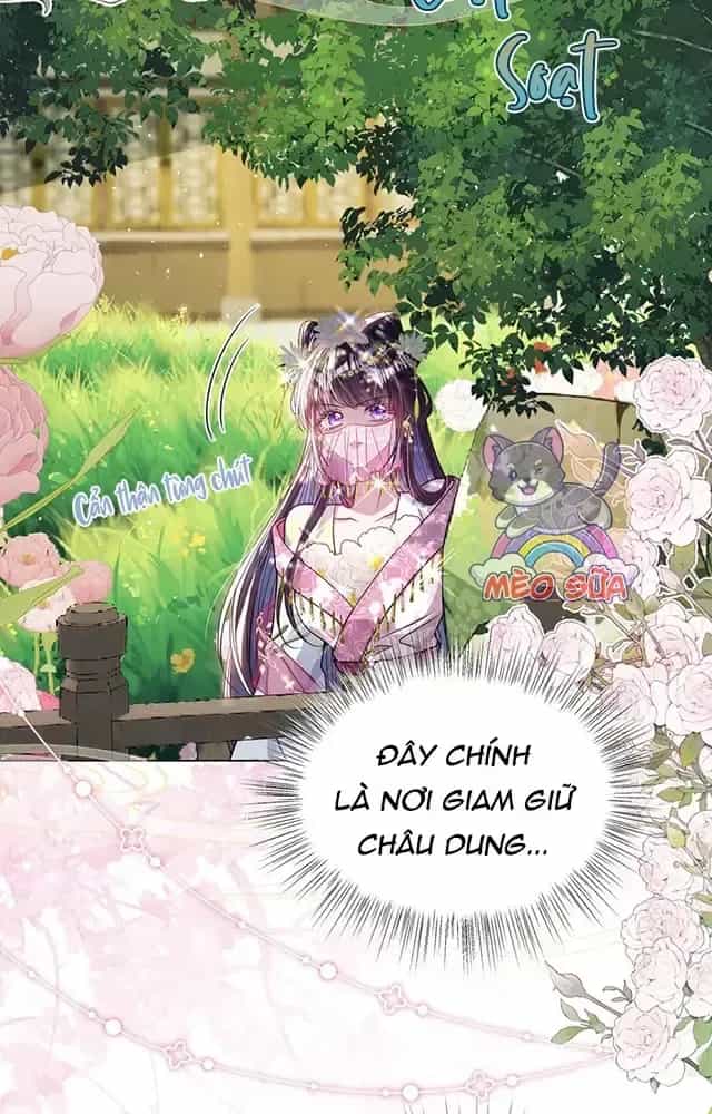 Nuông Chiều Mỹ Nhân Cuồng Nhiệt - Chương 26 - ảnh 22