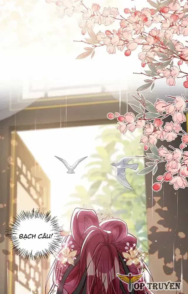 Nuông Chiều Mỹ Nhân Cuồng Nhiệt - Chương 26 - ảnh 6