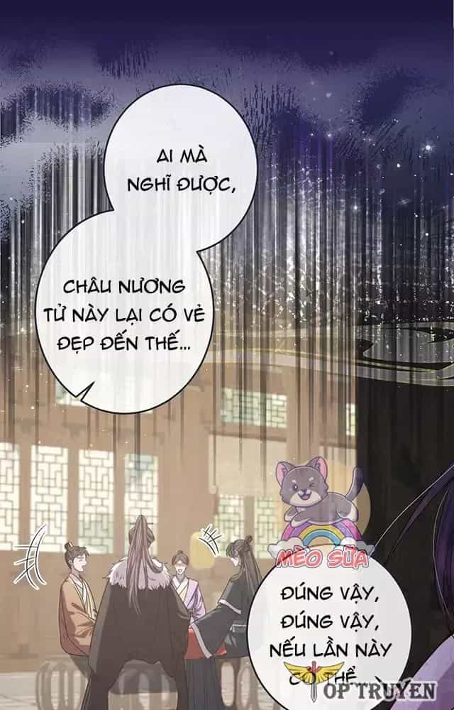 Nuông Chiều Mỹ Nhân Cuồng Nhiệt - Chương 27 - ảnh 6