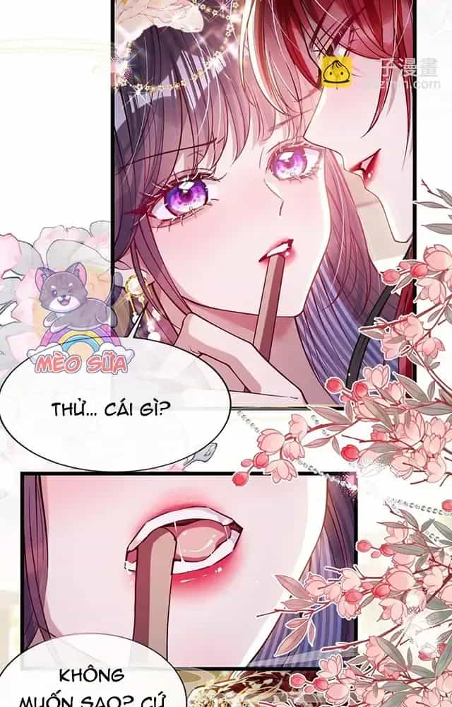 Nuông Chiều Mỹ Nhân Cuồng Nhiệt - Chương 28 - ảnh 13