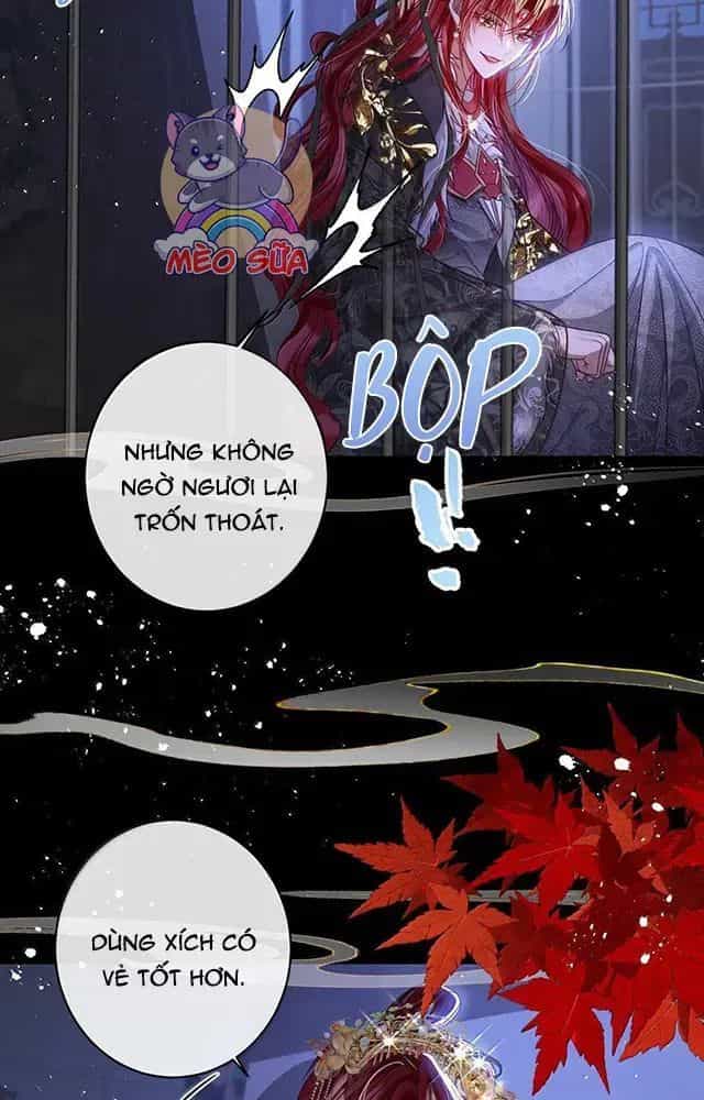 Nuông Chiều Mỹ Nhân Cuồng Nhiệt - Chương 33 - ảnh 19