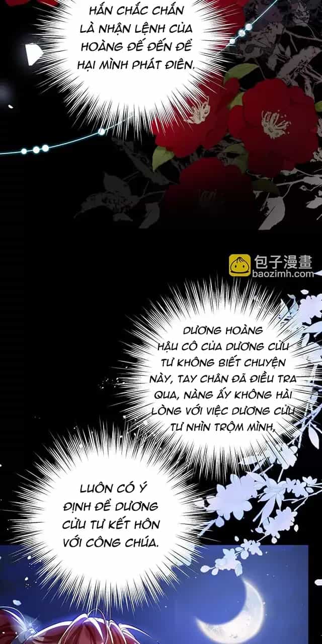 Nuông Chiều Mỹ Nhân Cuồng Nhiệt - Chương 36 - ảnh 13