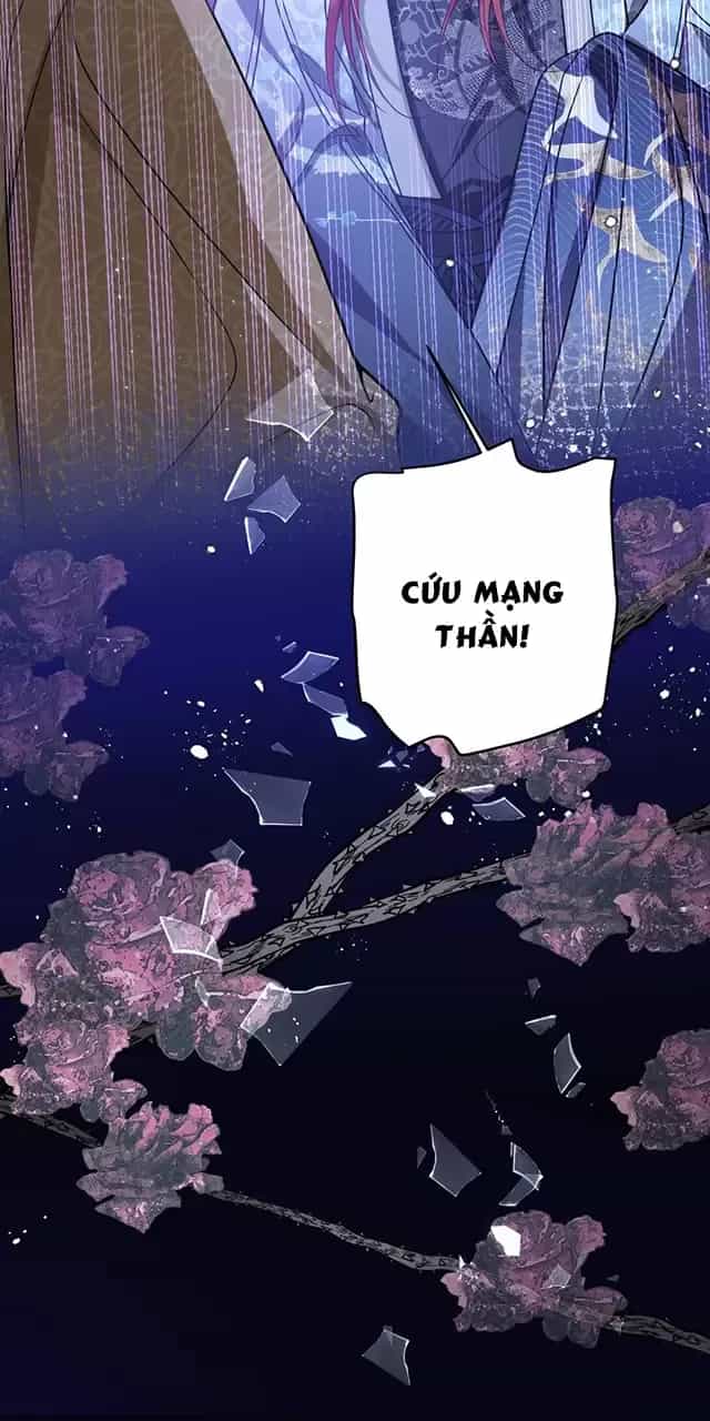 Nuông Chiều Mỹ Nhân Cuồng Nhiệt - Chương 36 - ảnh 27