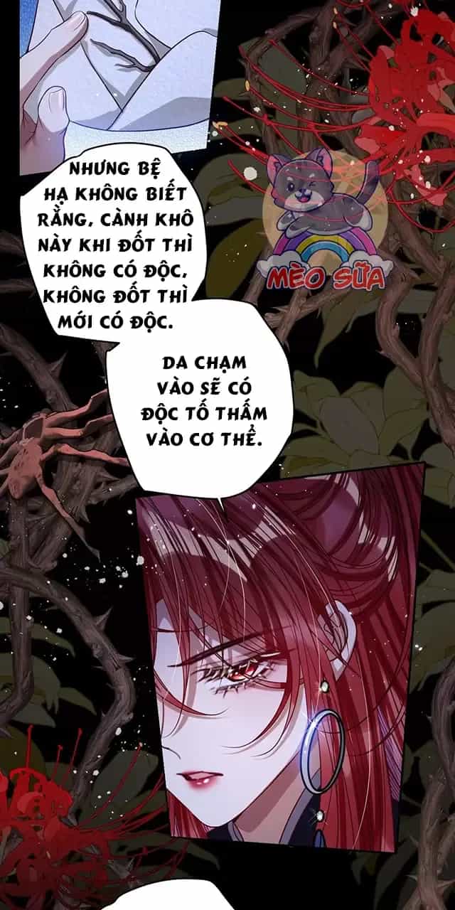 Nuông Chiều Mỹ Nhân Cuồng Nhiệt - Chương 36 - ảnh 31