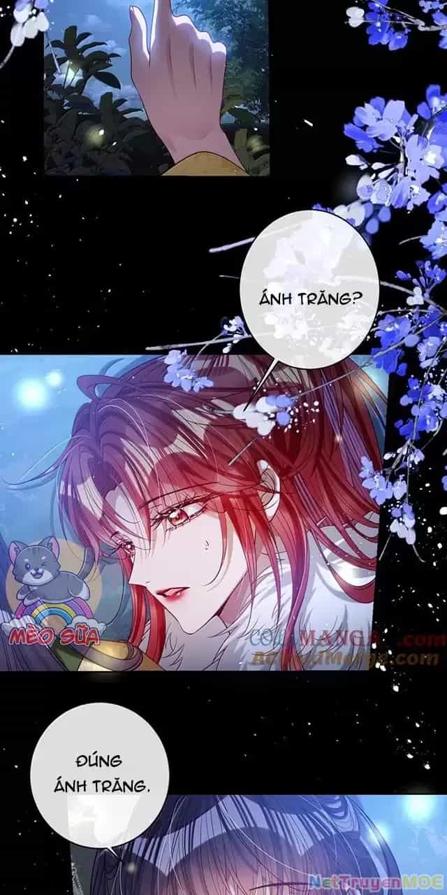 Nuông Chiều Mỹ Nhân Cuồng Nhiệt - Chương 45 - ảnh 11