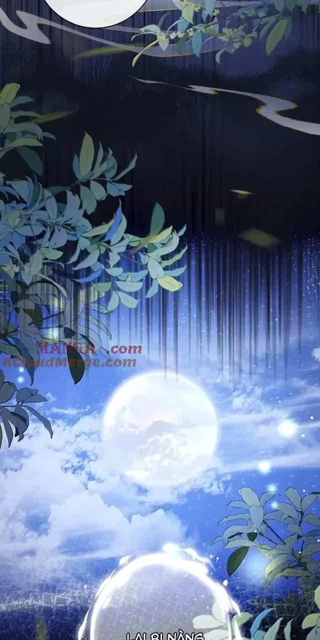 Nuông Chiều Mỹ Nhân Cuồng Nhiệt - Chương 47 - ảnh 7