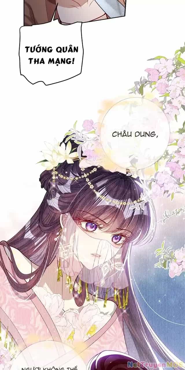 Nuông Chiều Mỹ Nhân Cuồng Nhiệt - Chương 48 - ảnh 5