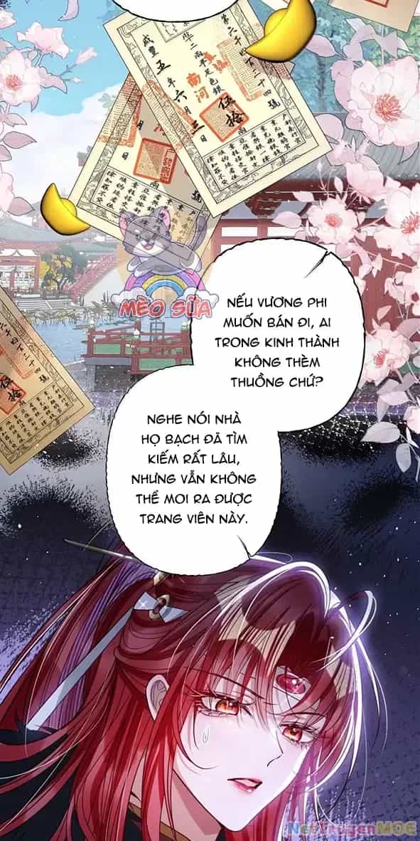 Nuông Chiều Mỹ Nhân Cuồng Nhiệt - Chương 49 - ảnh 10