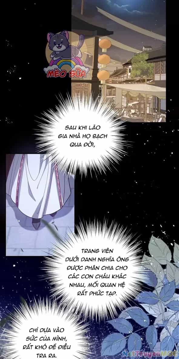 Nuông Chiều Mỹ Nhân Cuồng Nhiệt - Chương 49 - ảnh 12