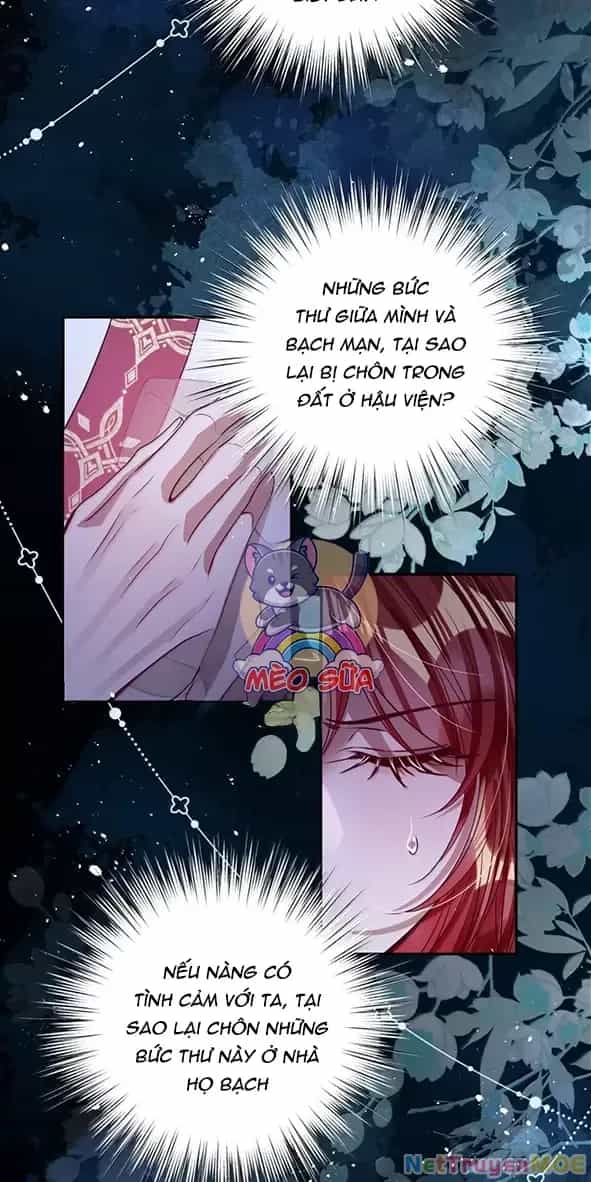 Nuông Chiều Mỹ Nhân Cuồng Nhiệt - Chương 49 - ảnh 15