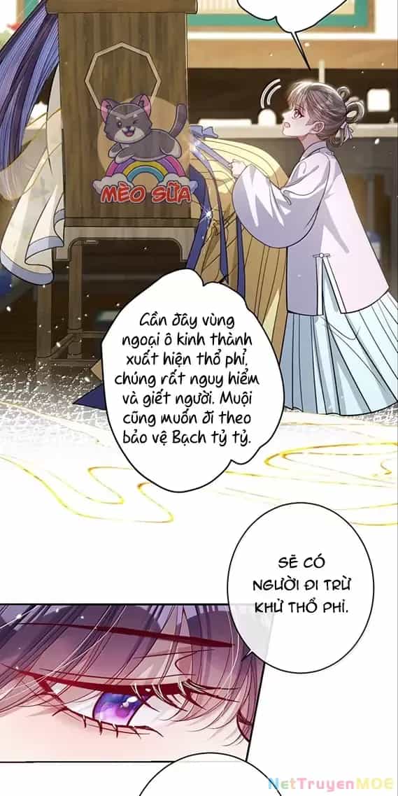 Nuông Chiều Mỹ Nhân Cuồng Nhiệt - Chương 50 - ảnh 6