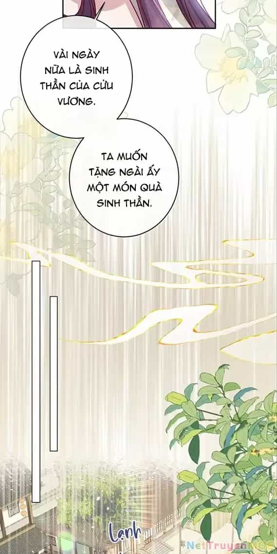 Nuông Chiều Mỹ Nhân Cuồng Nhiệt - Chương 50 - ảnh 9